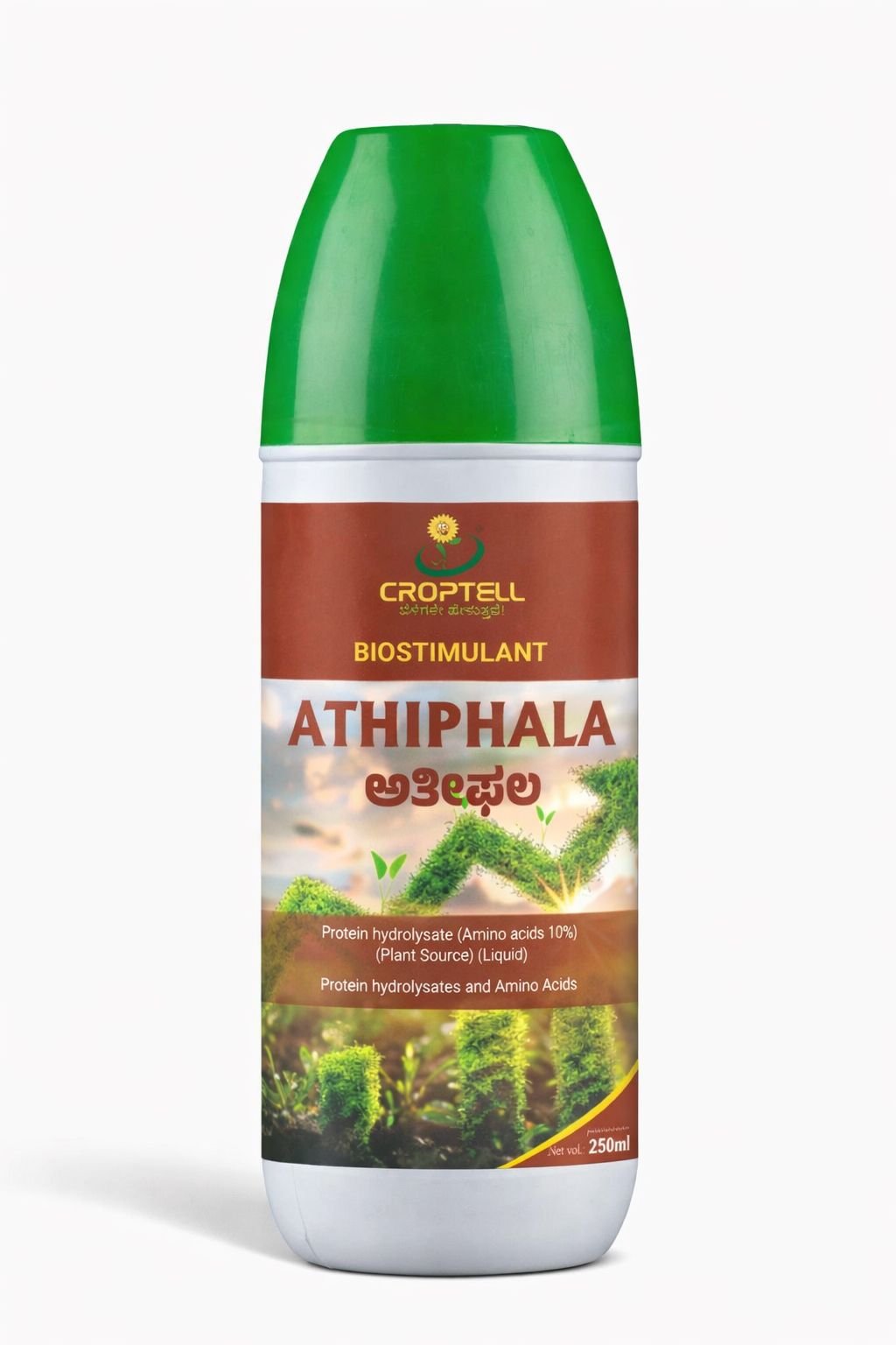 Athiphala