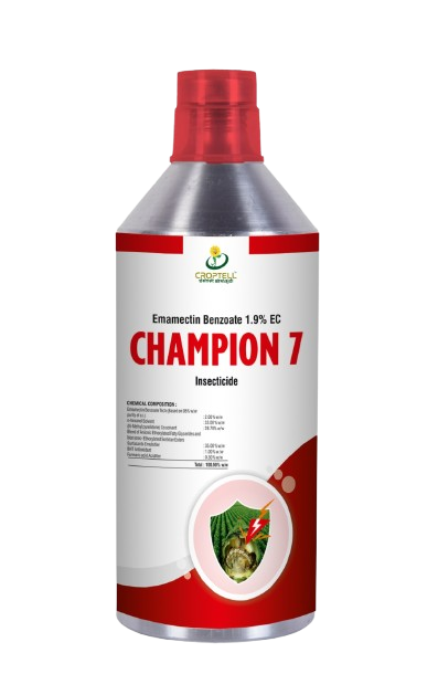 CHAMPION 7